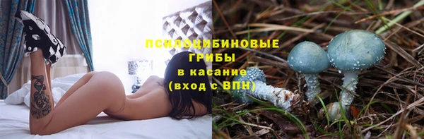 ешки Гусь-Хрустальный